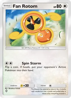 Wirbel-Rotom