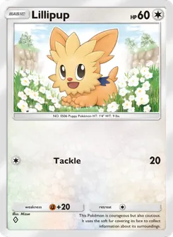 Lillipup