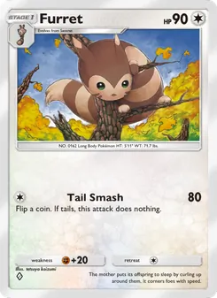 Furret