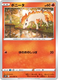 ポニータ