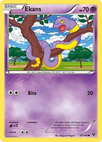 Wobbuffet (Mirror Holofoil)