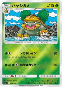 ハヤシガメ
