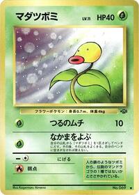 マダツボミ