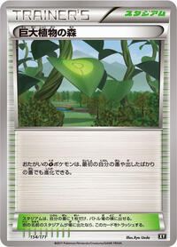 Forest of Giant Plants