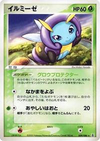 照らされます