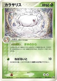 Silcoon