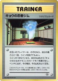 Koga's Ninja Gym