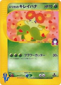 エリカのベロッソム
