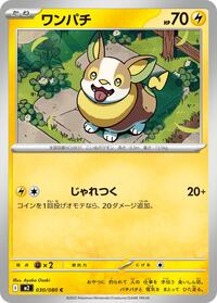 ワンパチ